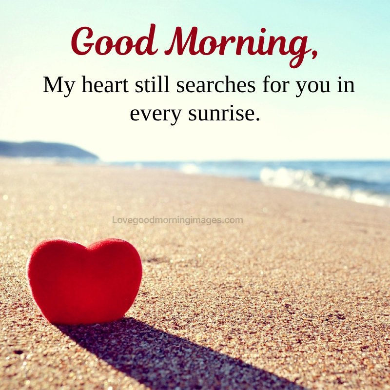 Good Morning, My Heart Still Searches For