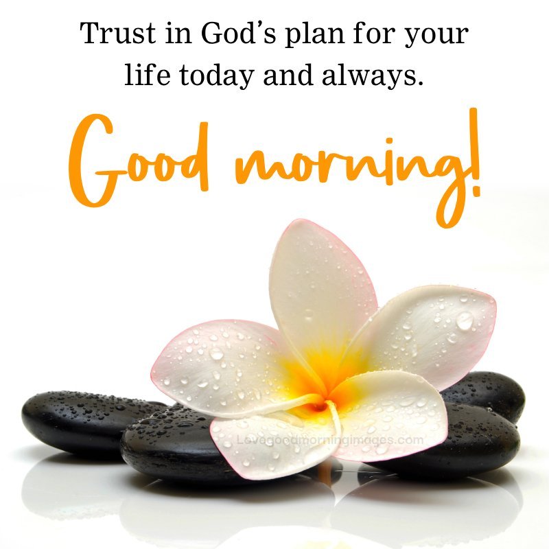 Good Morning! Trust In God's Plan For Your
