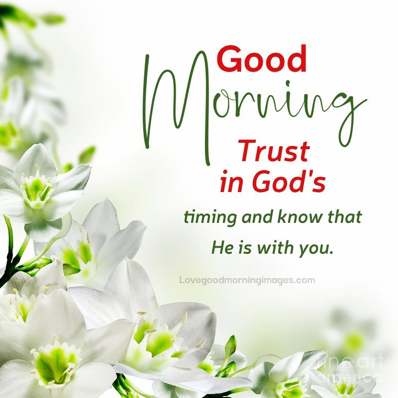 Good Morning! Trust In God's Timing And