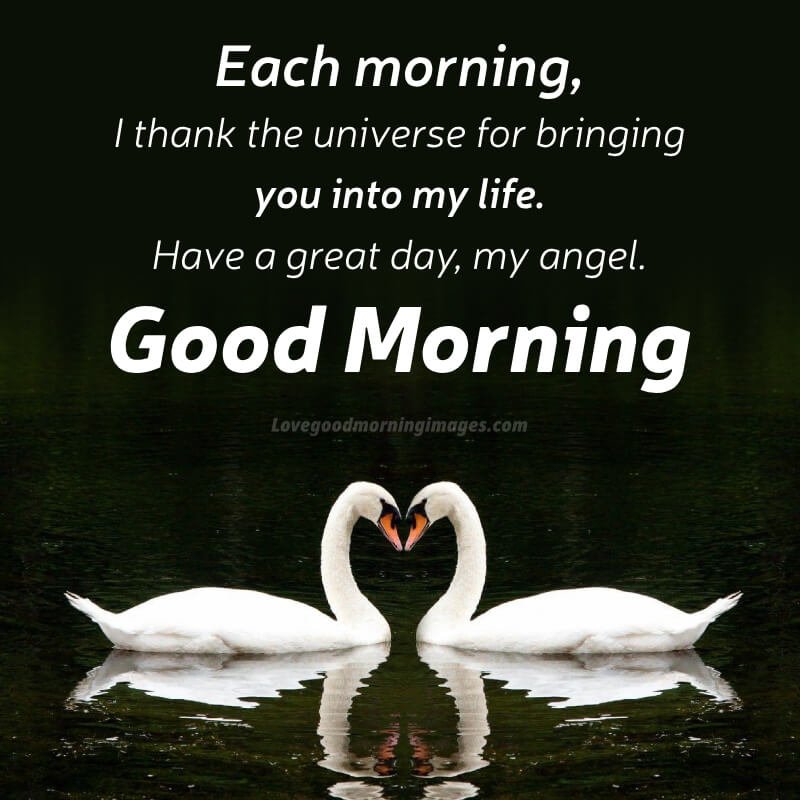 Each Morning, I Thank The Universe For Bringing You