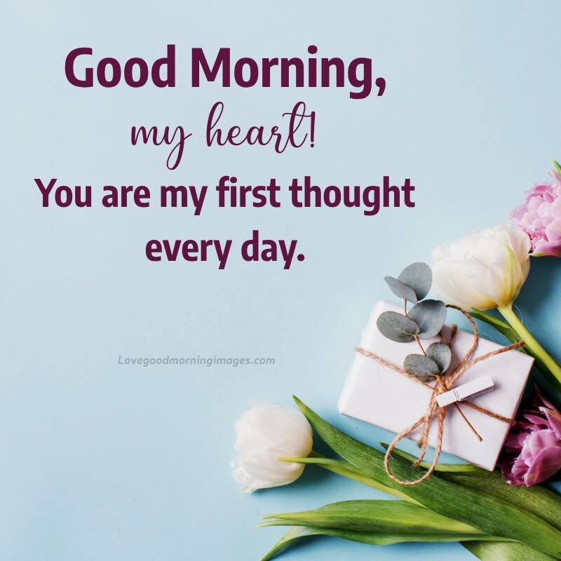 Good Morning, My Heart! You Are My First Thought