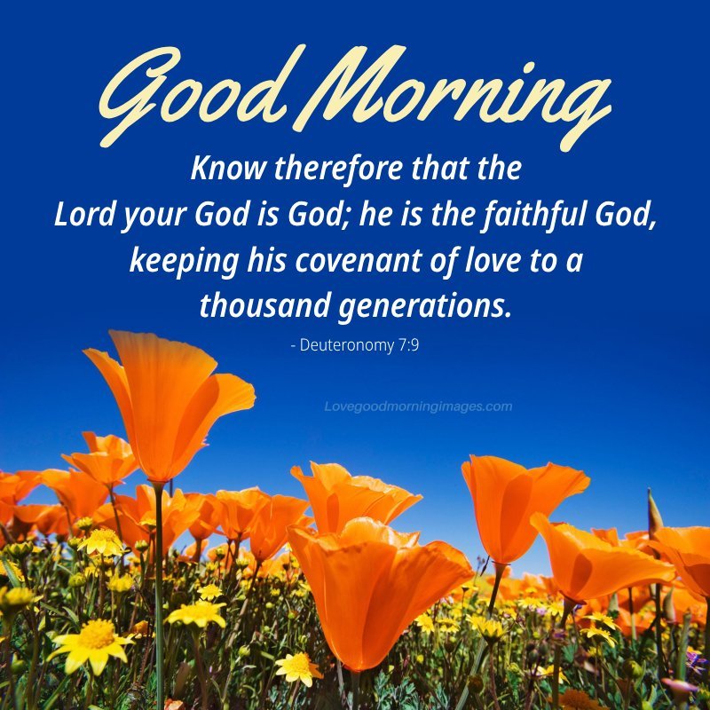 Morning Bible Verses About Gods Love Pic