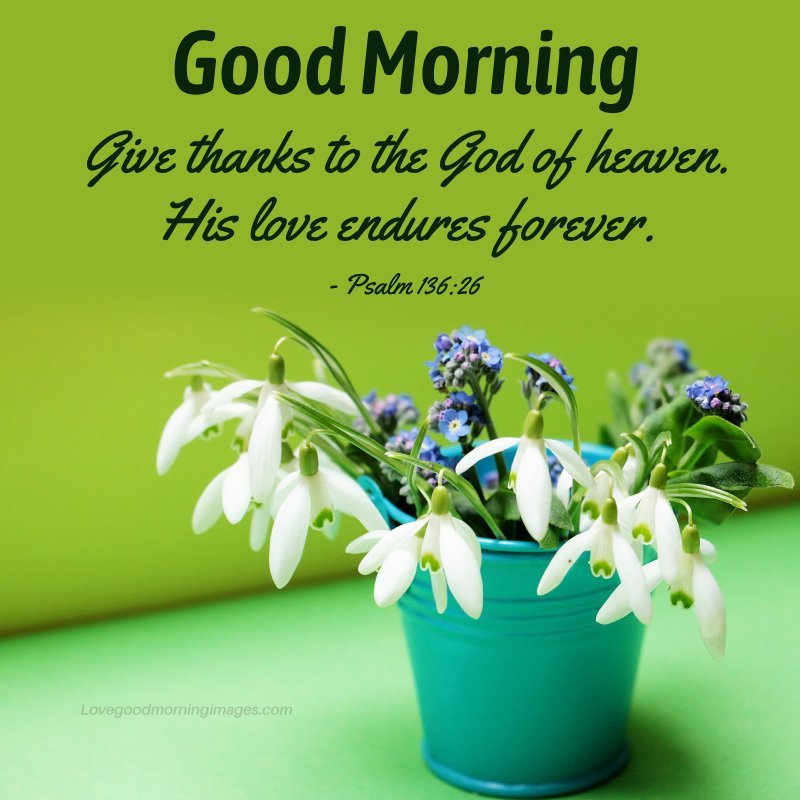 Morning Bible Verses About Gods Love Picture