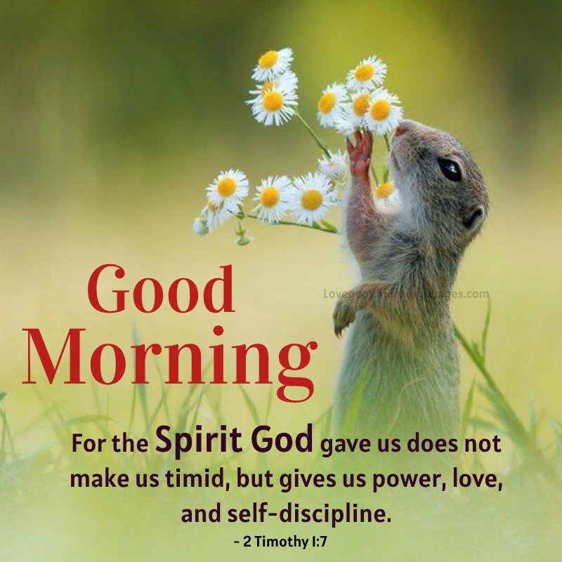 Morning Bible Verses About Love Photo