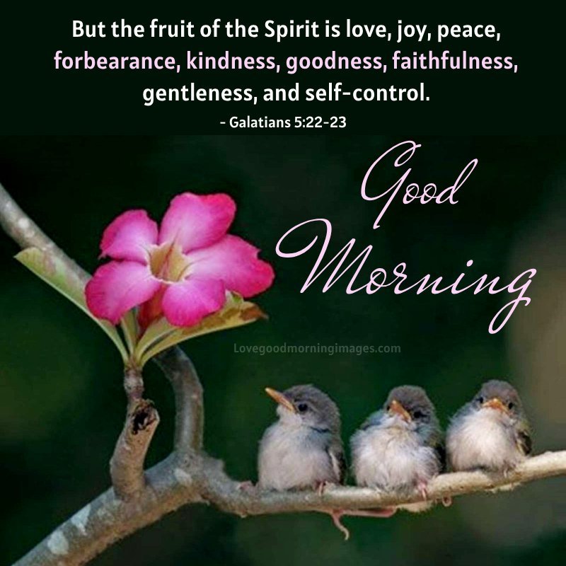 Morning Bible Verses About Love Picture