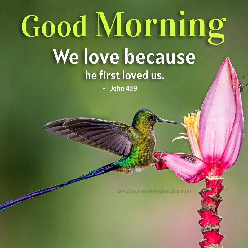 Morning Bible Verses About Love Pictures