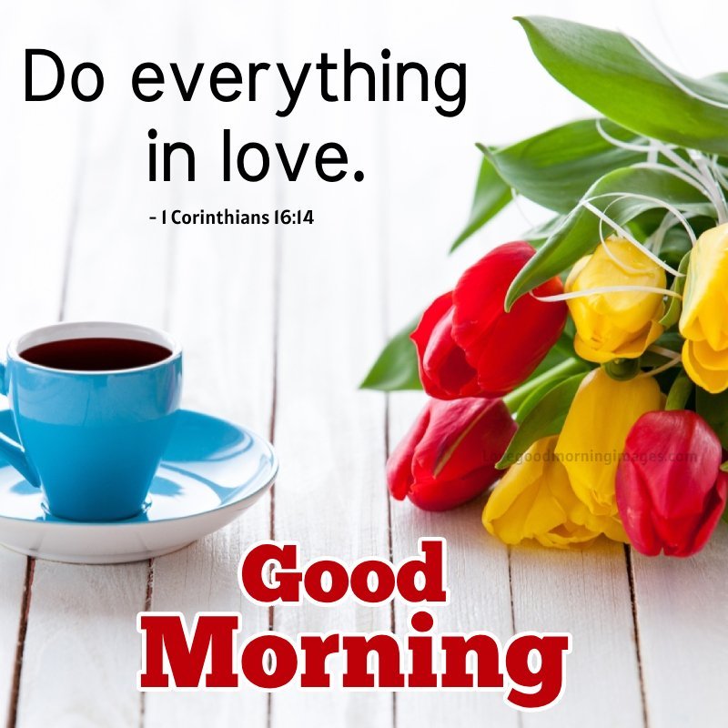 Morning Bible Verses About Love