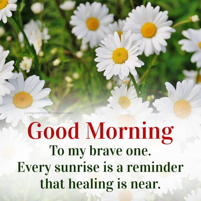 Floral Good Morning Get Well Soon My Love Cards