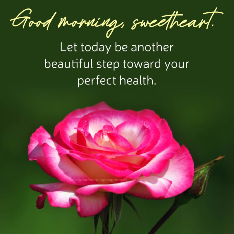 Good Morning Get Well Soon Love Heartfelt Images