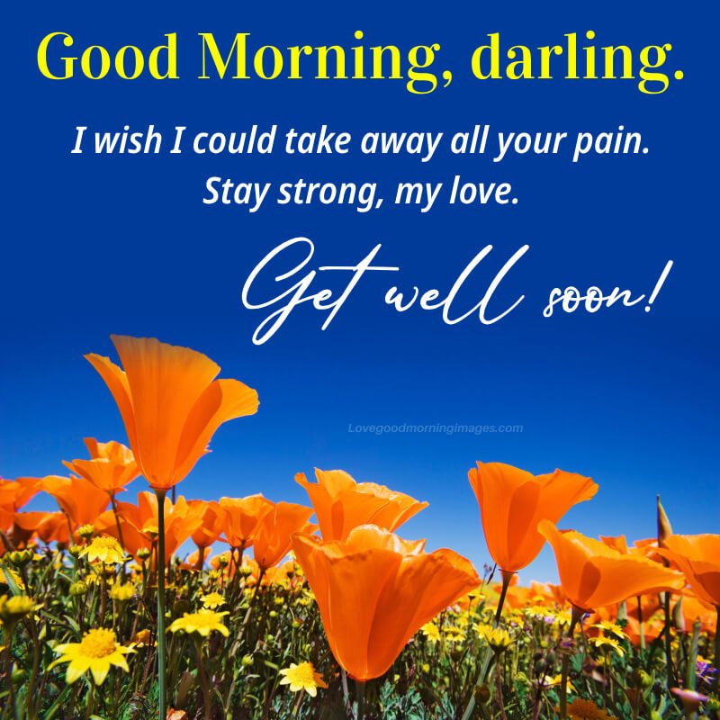Good Morning Get Well Soon My Love Beautiful Flowers